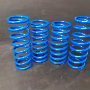 Kit ressort Caterham CSR 175 200 260 | Evolution 7